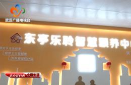 中宣部采访团到访武汉东亭社区J9集团直营智慧保养中心